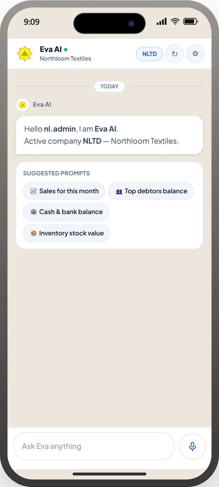 Eva AI iPhone chat with suggested ERP prompts for Northloom Textiles